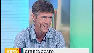 ДТП без ОСАГО. Утро с Губернией. 05/07/2019. GuberniaTV