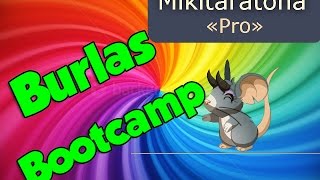 Burlas Bootcamp PRO #1 - Transformice ♥