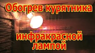 Обогрев курятника инфракрасной лампой // Приобретение кур несушек "Доминант" (укр.)