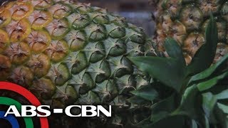 Salamat Dok: Pinya | Cure Mula Sa Nature