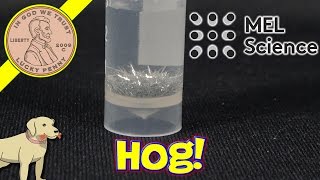 MEL Science Chemistry Set - Tin Hedgehog & Tin Dendrite Experiments
