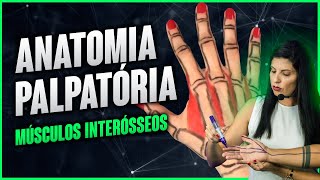 ANATOMIA PALPATÓRIA músculos Interósseos por Dra Walkyria Fernandes