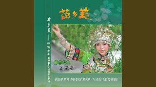 茶山飛出金鳳凰