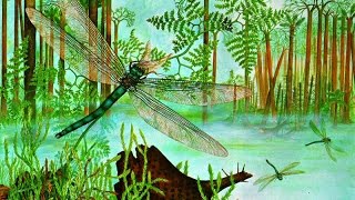 Плауны.  Хвощи.  Папоротники. Биология 5 класс.