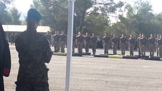 Aponomi Prasinou Pere Dinamis Katadromon 07/11/2013 Epidiksi kormon