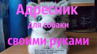 Адресник для собаки своими руками.