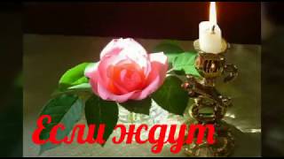 #видеостихи
#авторскиестихи.  Если ждут. Стихи Ирина Дарнина.