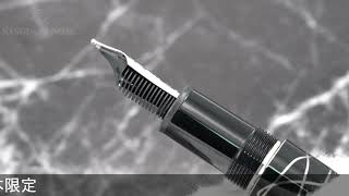 MONTBLANC モンブラン 万年筆 作家シリーズ2012 ジョナサン･スウィフト M