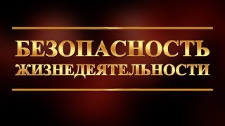 Безопасность жизнедеятельности. Лекция 1. Производственная среда
