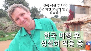너무 놀았나? 한국 여행 후 스페인 고산 생활 성실히 적응하는 중 (이제는 일 많아진 날)