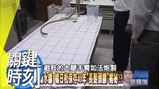 楊日松保存40年＂長髮頭顱＂揭祕！？2010年 第0870集 2300 關鍵時刻