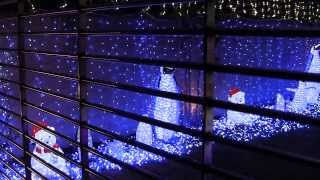 2013.12・【柏原】民家のイルミネーション【イエナリエ】（Illuminations of the private house（Osaka））（大阪府柏原市）