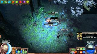 Path of Exile: low life EK fight 73map physical reflect mod without immortal call