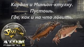 Atom Fishing II - Кардан и Миньон-ктулху. Пустошь. Где, как и на что ловить.