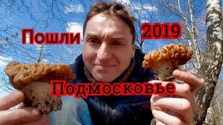 СТРОЧКИ ГИГАНТСКИЕ ПОПЕРЛИ