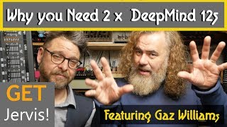 Why You Need 2 Behringer Deepmind 12's The Ultimate Deepmind 24