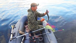 Рецепт уловистой каши на леща и белую рыбу  Для ловли на кольцо и не только