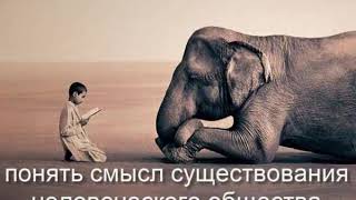 слова мудрости