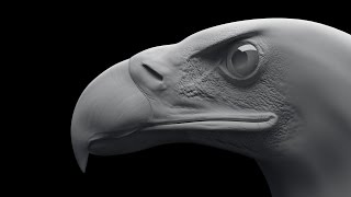 Eagle 3ds max modeling Tıme-lapse / 3DS max Моделирование орла