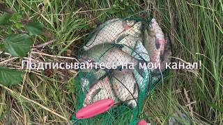 Ловля леща на фидер летом на островах КМК
