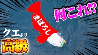 一生に一度も釣れないかもしれない「幻の魚」が釣れた‼
