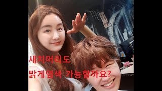 남자머리 자주하는질문 -새치머리도 밝게염색 가능할까요 ?