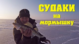 Судак на мормышку. Рыбалка в Казахстане.