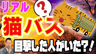 ATLASラジオ3rd -012 新潟に猫バス出現！？深夜ムーミンのニョロニョロが風呂に入っていた？！