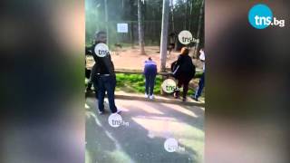 Роми дразнят вълк в зоокъта в Стара Загора
