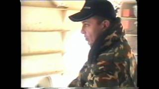 НИКОЛАЕВСКИЕ   ГОЛУБИ