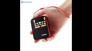 NEWGOOD brand mini portable colorful flashlight radio speaker with mp3 USB disk SD Card player N 500
