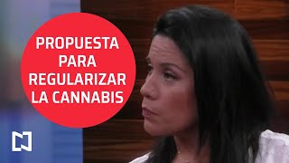 Nueva propuesta para regularizar la cannabis - Punto y Contrapunto