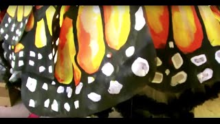 Karneval Schmetterling Kostüm Бабочка костюм selber machen-Anregung  шить