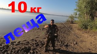 Рыбалка на леща.Ловля леща летом.Лещ на донку.