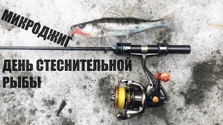 Микроджиг.  День стеснительной рыбы