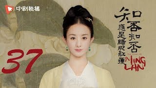知否知否应是绿肥红瘦【未删减】37（赵丽颖、冯绍峰、朱一龙 领衔主演）