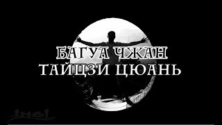 Занятия тайцзи-цюань и багуа чжан в центре ИНБИ