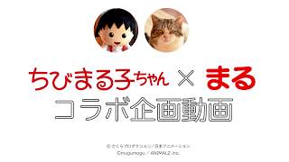 【ちびまる子ちゃん×まるコラボ企画動画】ちびまる子ちゃんがまるの家に遊びにやってきた！？の巻