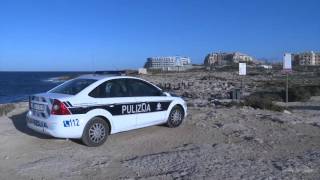 Filmat: Il-kelb il-baħar li t-Tnejn li għadda daħal max-xatt f'Pembroke aktarx salva