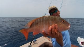Bimini Bahamas Fishing Deep Dropping For Snapper and Grouper