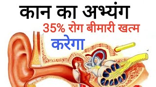 कान का अभ्यंग करने से शरीर की 35% बीमारियां जड़ से खत्म हो जाएगी  Ear ka abhyang