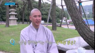 생활 속의 참선…환산 스님 / YTN