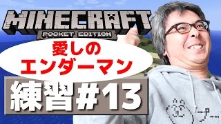 【瀬戸のマインクラフトPE】練習編その１３ / 愛しのエンダーマン