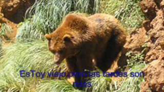 EL OSO - daniel f
