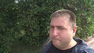 Турция День 7 Чамьюва ищу рынок, зашел в большой Мигрос и аптеку