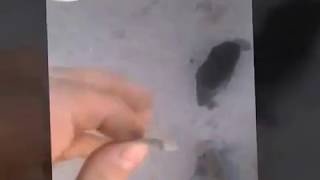 Гремят тормозные колодки vw golf 3 - решение