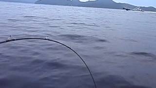 鯛ラバの極意！