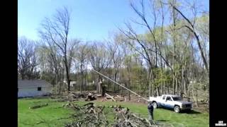 Régis doit arracher l'arbre de son voisin