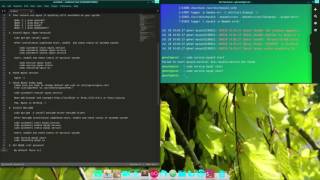 How to install LEMP Server [Nginx, PHP 7.0, MariaDB & phpMyAdmin] on Linux Mint 18 Sarah - Part 2
