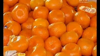 Шкідливі мандарини